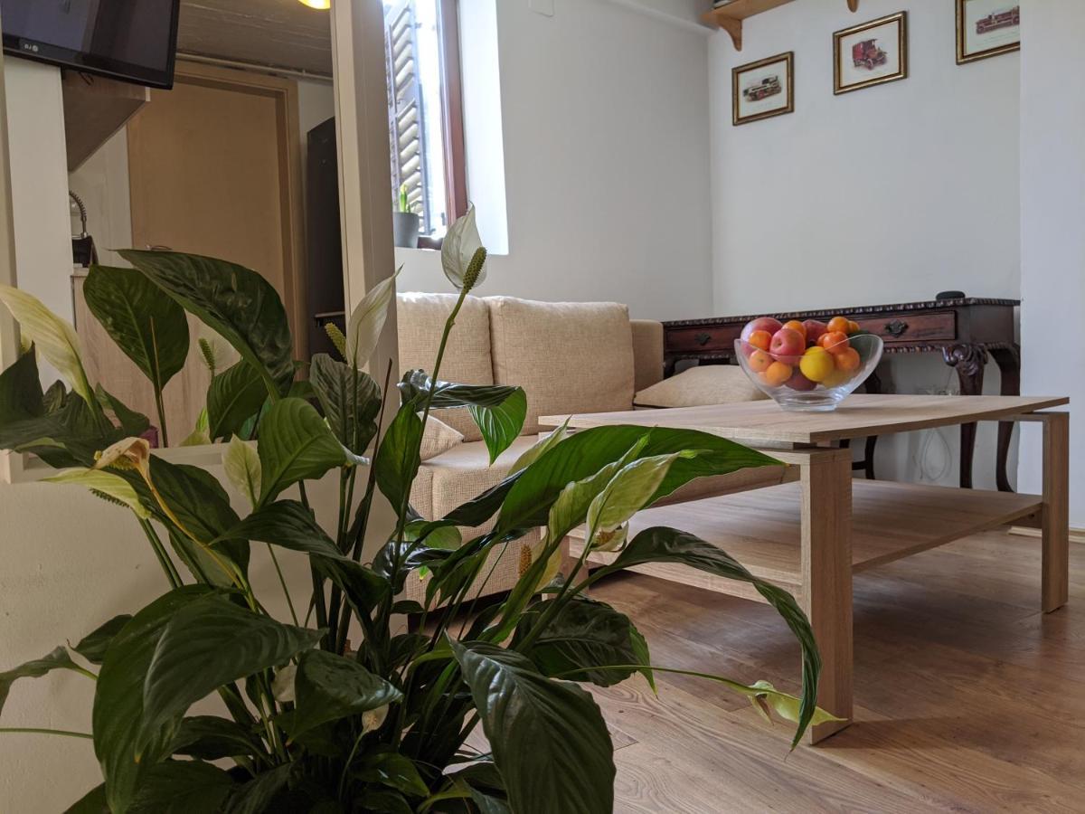 Twin-Magnolias Condo With Garden, Parking & Ev Station Zagreb Bagian luar foto