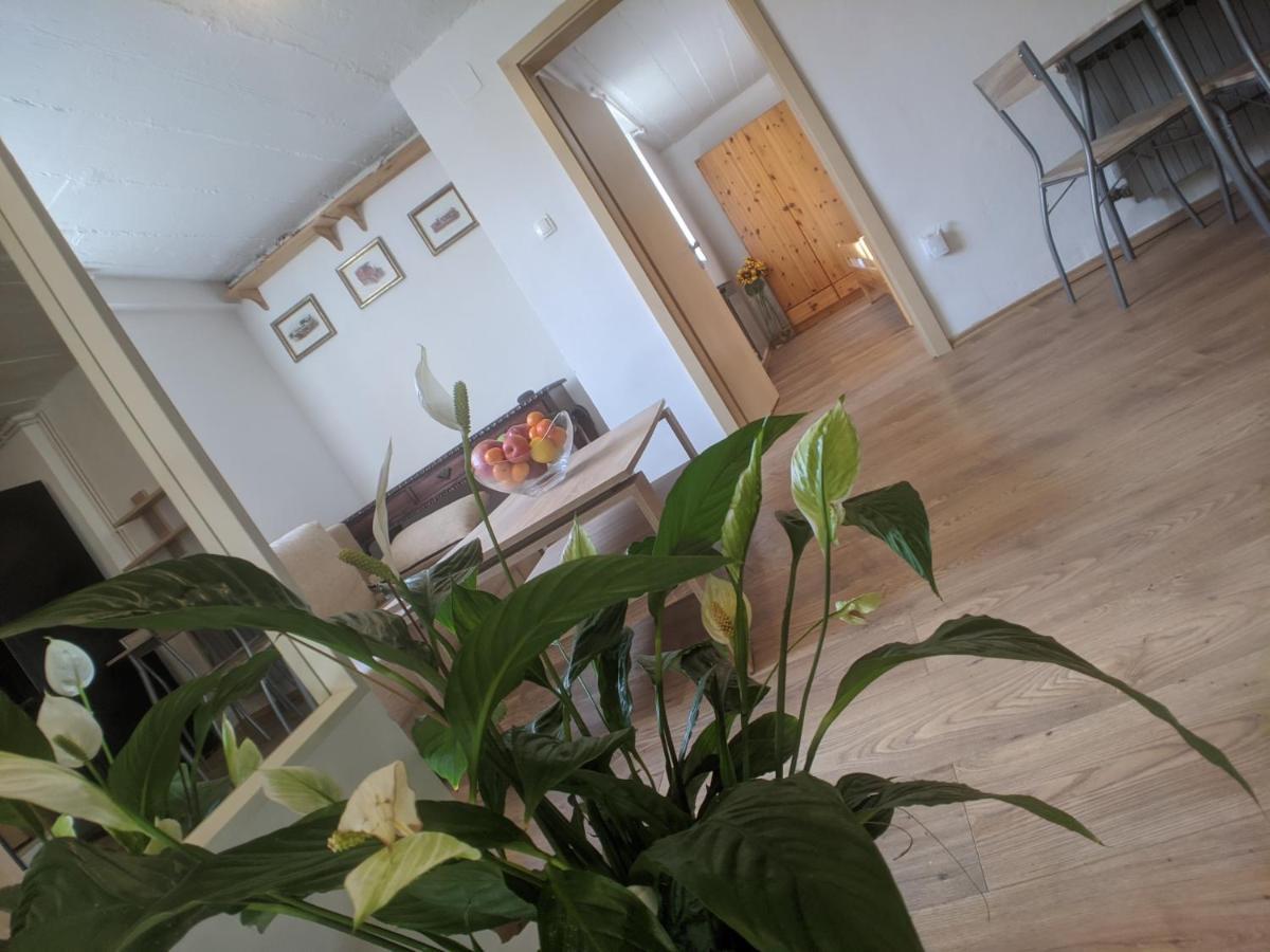 Twin-Magnolias Condo With Garden, Parking & Ev Station Zagreb Bagian luar foto