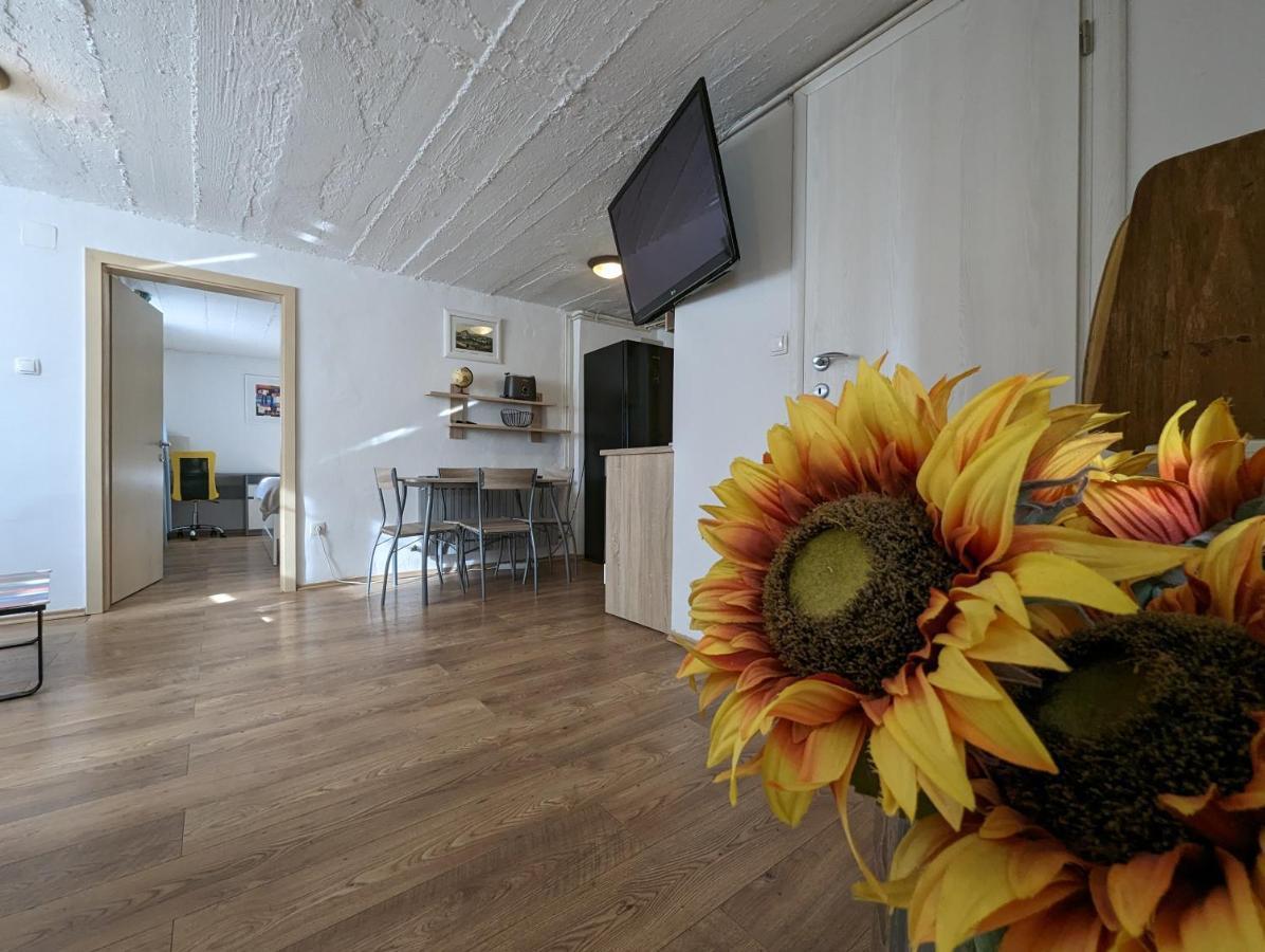 Twin-Magnolias Condo With Garden, Parking & Ev Station Zagreb Bagian luar foto